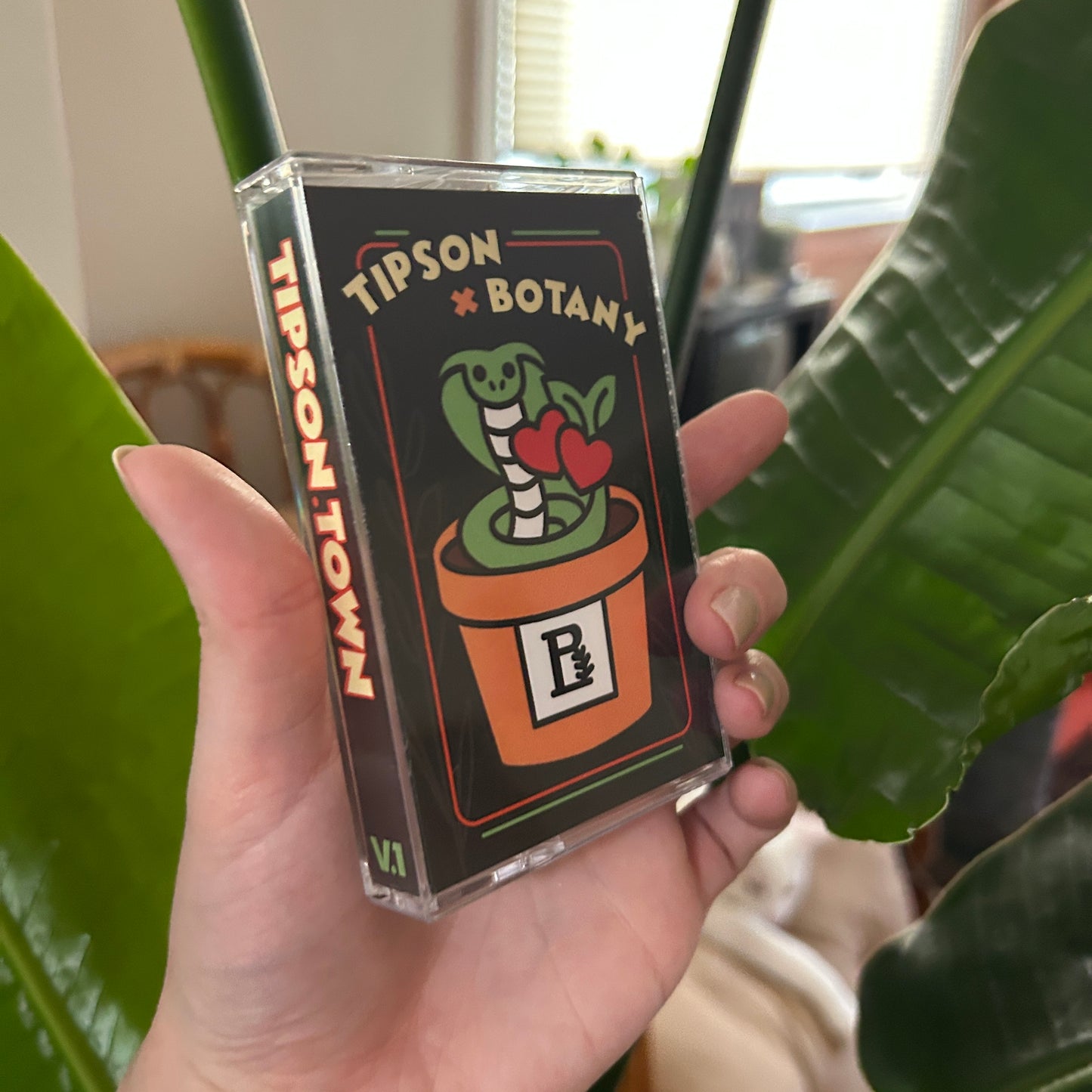 Tipson X Botany Zine Pack